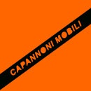 Logo dell'attività Capannoni mobili