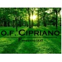 Logo Onoranze Funebri Cipriano Frigento