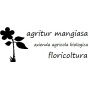 Logo Agritur Mangiasa