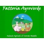 Logo FATTORIA  AGROVERDE
