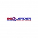 Logo Consulente SEO - SEO Leader