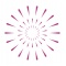 Logo social dell'attività FUOCHI ARTIFICIALI E SPETTACOLI PIROTECNICI