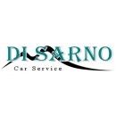 Logo dell'attività Di sarno Car Service