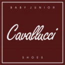 Logo dell'attività Cavallucci Baby Junior Terni