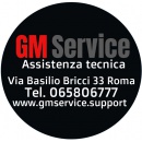 Logo GM Service