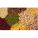 Logo Cereali-Concimi-Mangimi-Farine-Pellet NON GMO