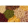 Logo dell'attività Cereali-Concimi-Mangimi-Farine-Pellet NON GMO