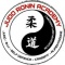 Logo social dell'attività Judo Ronin Academy Montichiari