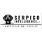 Logo social dell'attività Serpico Intelligence srl