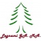 Logo social dell'attività Segheria