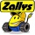 Logo piccolo dell'attività Zallys Srl