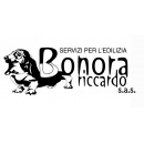 Logo Bonora Riccardo S.A.S.