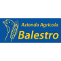Logo Balestro Giorgio