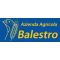 Logo social dell'attività Balestro Giorgio
