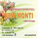 Logo NEW MONTI di Monti Giuseppe