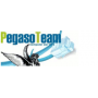 Logo Pegaso Team S.n.c. di Gatto Andrea e Casatta David