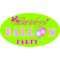 Logo social dell'attività balloonparty