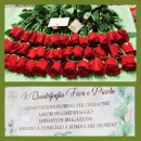 Logo Il Quadrifoglio Fiori e Piante a Roma