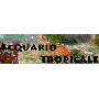 Logo Acquario Tropicale