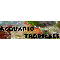 Logo social dell'attività Acquario Tropicale