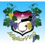 Logo Migliorvino di Tarunti Massimo Giuseppe
