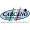 Logo social dell'attività assistenza Carcano fabrizio riparazioni elettrodomestici a domicilio