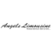 Logo social dell'attività Angels Autonoleggio Con Conducente di Perin Mauro