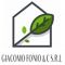 Logo social dell'attività Giacomo Fonio & C. S.r.l