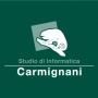 Logo Studio di Informatica Carmignani srls