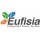 Logo piccolo dell'attività Eufisia Integrated Power Sistem