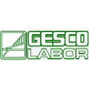 Logo Gesco Labor S.a.s. di DR.SSA Paola Salomoni & C