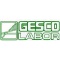 Logo social dell'attività Gesco Labor S.a.s. di DR.SSA Paola Salomoni & C