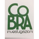 Logo Cobra srl