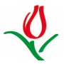 Logo Il Tulipano Impresa di Pulizie