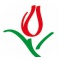 Logo social dell'attività Il Tulipano Impresa di Pulizie
