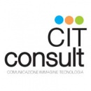 Logo Cit Consult