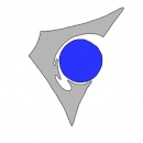 Logo dell'attività Foto Iarlori