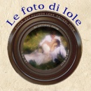 Logo LE FOTO DI IOLE