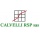 Logo piccolo dell'attività Calvelli Rsp S.a.s. di F. Calvelli e C