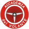 Logo social dell'attività Autoscuola Accademia del Volante