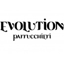 Logo evolution parrucchieri