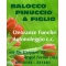 Logo social dell'attività Onoranze Funebri Balocco Pinuccio & Figlio srl 