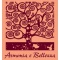 Logo social dell'attività Armonia e Bellezza