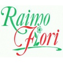 Logo RaimoFiori