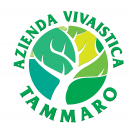Logo Vivao Tammaro