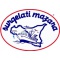 Logo social dell'attività SURGELATI MAZARA