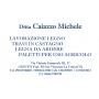 Logo Caiazzo Michele