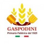Logo Gaspodini | Primaria Fabbrica dal 1925