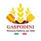 Logo social dell'attività Gaspodini | Primaria Fabbrica dal 1925