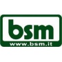 Logo Bsm srl